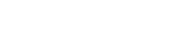 Altizon Inc.